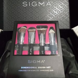 Sigma Dimensional brush set